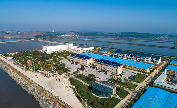 来利国际w66简介_来利国际w66