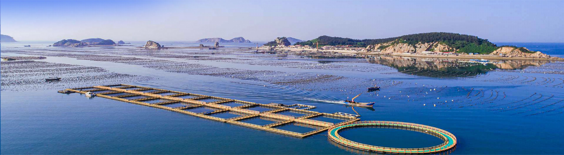 来利国际w66集团