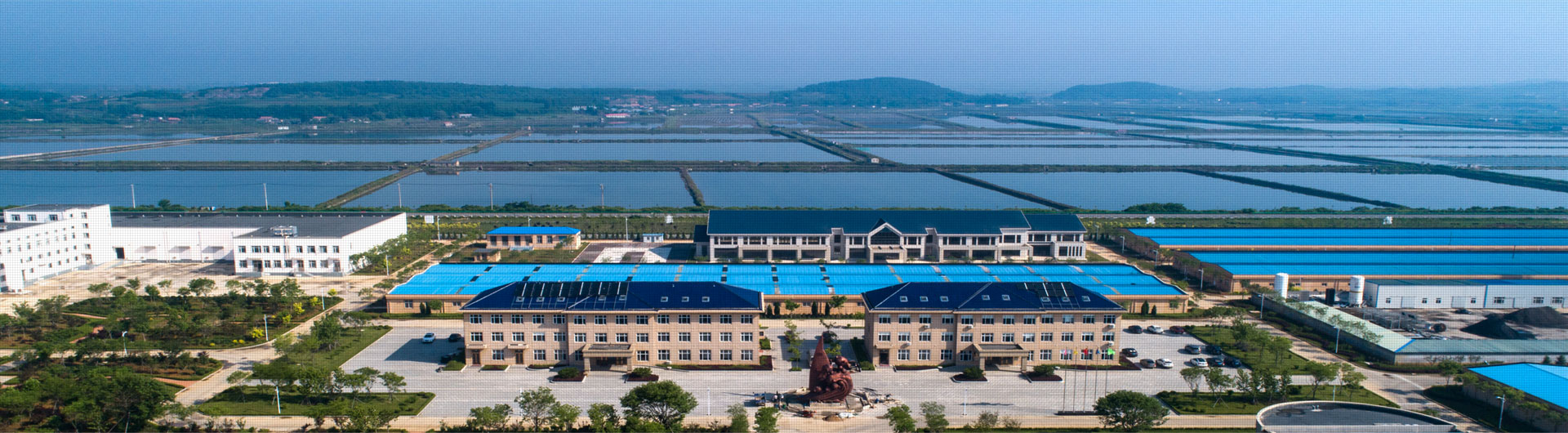 党建群团_来利国际w66