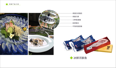 冰鲜河豚鱼