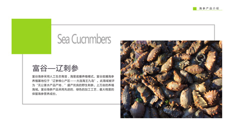 来利国际w66リョウ刺参