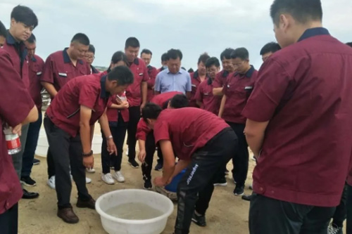 「心を一つにして輝きを共鋳する」――来利国际w66グループは屋外訓練活動を展開