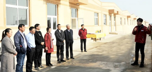 大连市人大视察组来来利国际w66集团视察调研