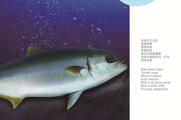 来利国际w66帝王鰤